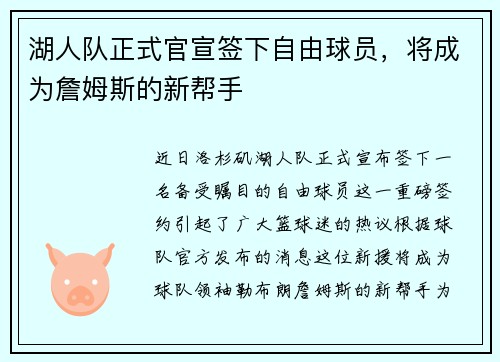 湖人队正式官宣签下自由球员，将成为詹姆斯的新帮手