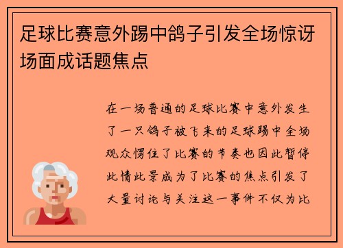 足球比赛意外踢中鸽子引发全场惊讶场面成话题焦点