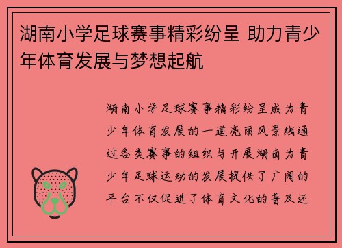 湖南小学足球赛事精彩纷呈 助力青少年体育发展与梦想起航