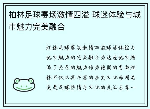柏林足球赛场激情四溢 球迷体验与城市魅力完美融合