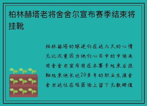 柏林赫塔老将舍舍尔宣布赛季结束将挂靴