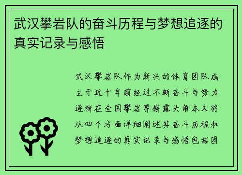 武汉攀岩队的奋斗历程与梦想追逐的真实记录与感悟