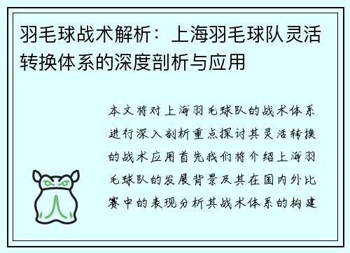 羽毛球战术解析：上海羽毛球队灵活转换体系的深度剖析与应用